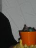 Filename=image015.jpg
Filesize=223KiB
Dimensions=1024x1365
Date added=Oct 12, 2020 image015.jpg