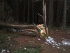 Filename=image020.jpg
Filesize=164KiB
Dimensions=1024x768
Date added=Oct 12, 2020 image020.jpg
