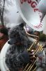 Filename=image020.jpg
Filesize=544KiB
Dimensions=683x1024
Date added=Oct 11, 2020 image020.jpg