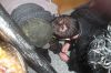 Filename=image036.jpg
Filesize=628KiB
Dimensions=1024x683
Date added=Oct 11, 2020 image036.jpg