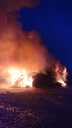 Filename=IMG-20200229-WA0059.jpg
Filesize=100KiB
Dimensions=774x1376
Date added=Mar 08, 2022 IMG-20200229-WA0059.jpg